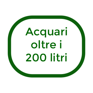 acquari-oltre-i-200-litri